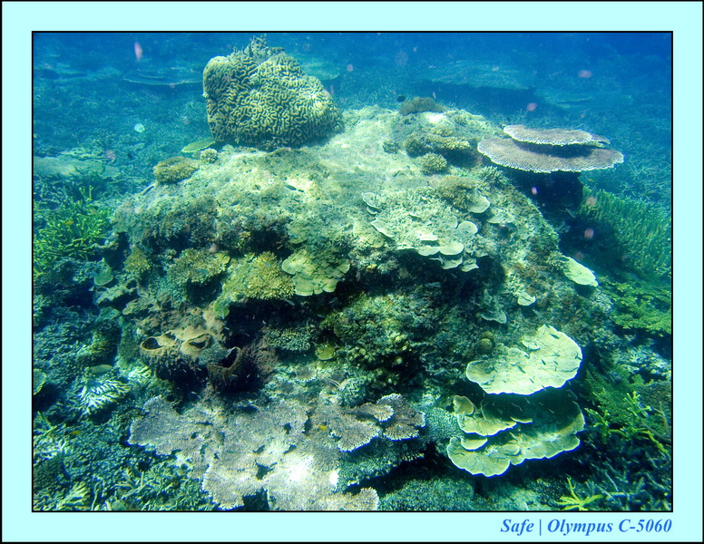 2008 - 07 - Redang - 034